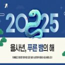 2025년 을사년(乙巳年)은 푸른 뱀의 해, 이미지