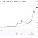 타이어섹터 이미지