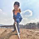 손병호농장-2 이미지