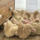 구룡달전로 | 대전 더네츄럴스튜디오 성장앨범 계약 100일 촬영후기(내돈내산)