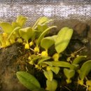 매밑농장 이미지