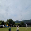 누렁이과수원 이미지
