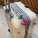 베테랑생돈까스앤커피 | 베트남 나트랑 3박 5일 자유여행 일정 경비 공유 3일차 (우정힐링여행)