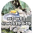 제주시 애월읍 신개념 동물체험 화조원 솔직후기