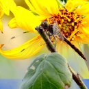 회현농장 이미지