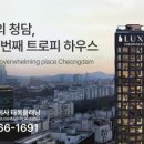 주식회사 청담 네이버블로그