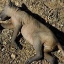 칠전농장 이미지