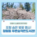 청림동 푸른숲작은도서관 이미지