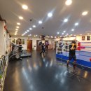 SEAL복싱클럽 이미지