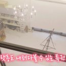 스튜디오아리와 이미지