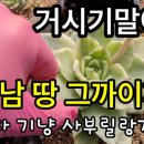 강남 땅 부자 될 뻔?ㅋㅋ 이미지