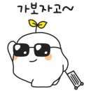 일타무주스키강습 이미지