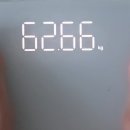 요요키 | [마운자로 부작용 후기] 마운자로 1번만 맞고 끊은 지 1주일, 중단 후 요요 시작?
