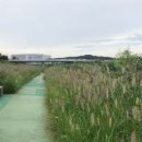 원흥3로 이미지