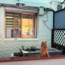 꽃지 팰리스 이미지