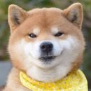 땡