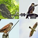 덕산자원(환경) 이미지