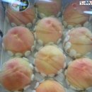 가락4리 이미지