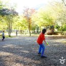 붓꽃섬 관광펜션 이미지