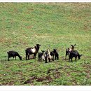 상노농장 이미지