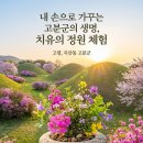 대가야역사테마관광지 캠핑장 | 2026 고령 대가야축제 공연 체험 프로그램 가수 라인업 먹거리등 정보 봄에 꼭 가봐야 할 역사체험 축제