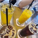 공칠일커피 네이버블로그