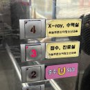 늘푸른소아청소년과의원 | 충주 늘푸른소아과 평일 늦은 시간, 주말에도 갈수 있는 소아과 (feat.키오스크 사용법)