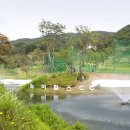 그린힐스스크린골프클럽 이미지