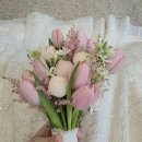 삼성전자 앞 | 삼성전자 서초사옥 웨딩홀 후기 삼성 임직원 웨딩홀 3곳 비교 + 실제 결혼식 리뷰