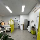 (야간)타로심리상담사 이미지