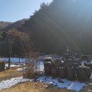 하백의정원 이미지