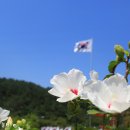 완주여행 화산한우와 미리본 와일드푸드 축제 음식들 이미지