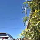 이동생태마을 앞 교통섬 | 서해랑길53코스 군산 후반부 (회현면사무소~외당마을버스정류장 : 10km) 2026.04.07