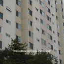 우면동고 이미지