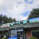 양양 | 양양 맛집 송이골 후기 부모님과 가기 좋은 식당 (내돈내산)