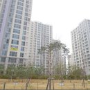 선동공인중개사사무소 이미지