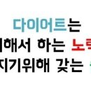 다와점핑&온열다이어트