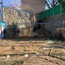 서울양천초등학교 이미지