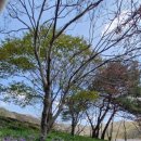 광암목장 이미지