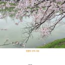 꽃멍