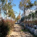 여수산단로 이미지