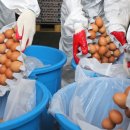 김성훈농장 이미지