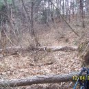 큰 골 태양광발전소 이미지