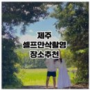 표선모르 | 제주 태교여행 추천 코스 셀프만삭촬영 안도르카페 비밀의숲 성이시돌목장 스냅사진장소 추천