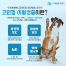 하동동물병원 이미지