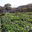 민영농장 이미지