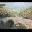 정옥순농장 이미지