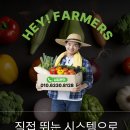 헤이파머스