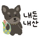 알콩달콩 애견샵 이미지