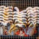 명가정통민물장어 이미지